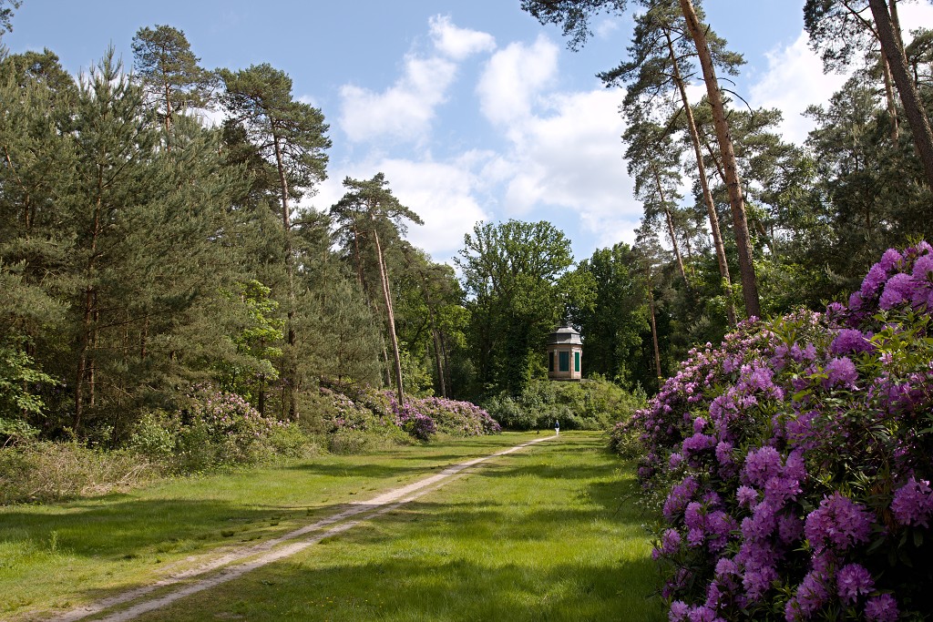 kalmhoutese heide hei hdr natuurgebied natuur landschap natuurpark natuurreservaat wandelen heidegebied bossen vennen
